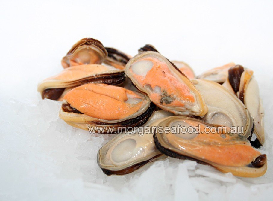 Mussel Meat, Green Lip Online Seafood Store